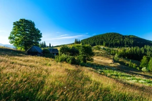 10 pomysłów na spektakularne pokazy taneczne dla małych i dużych scen